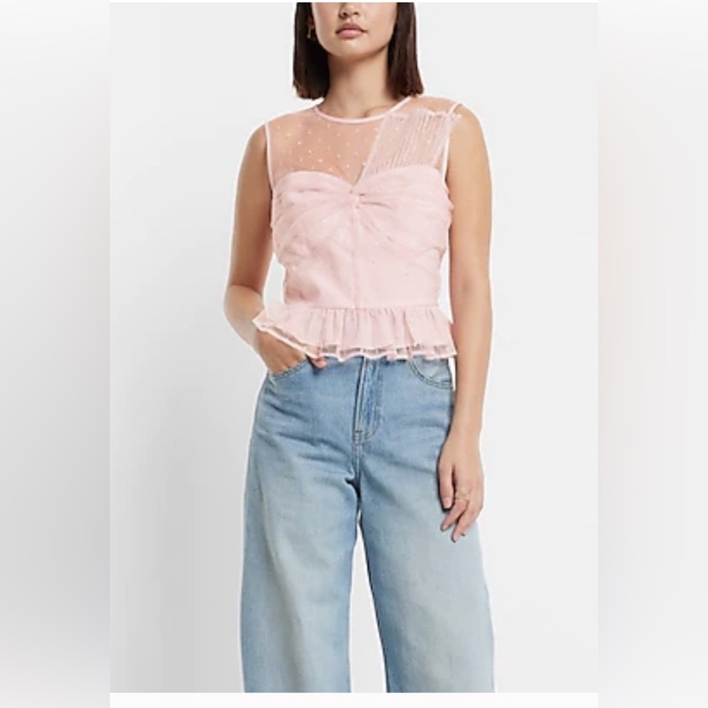 Express Pink Sheer Ruffle Top